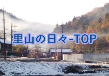 里山の日々 – TOP